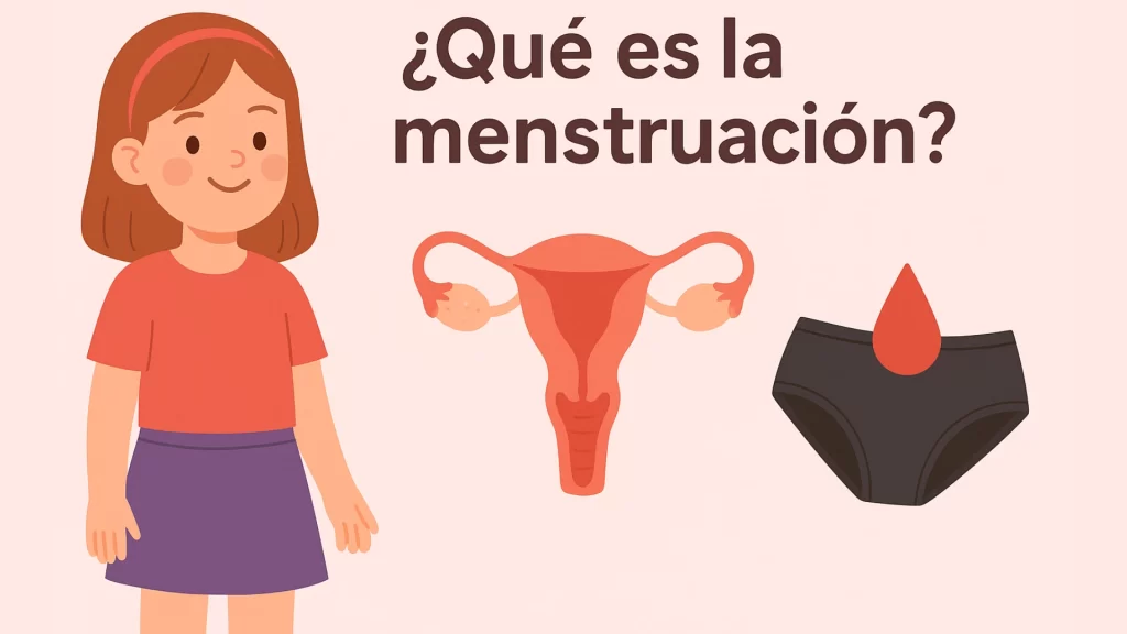 Ilustración educativa de una niña junto al sistema reproductor femenino y un calzón menstrual para explicar qué es la menstruación.